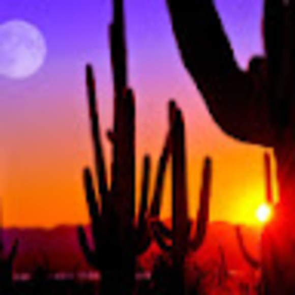 Meet your Posher, Jennifer - Picture 1 of 1